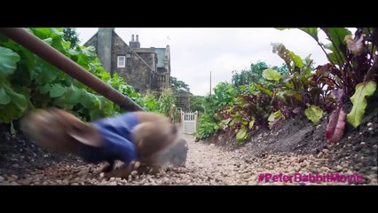 Peter Rabbit All Movie Clips + Trailer (2018) Animated Movie HD