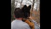 German Shepherd Puppy Tries To Save Owner From Snow