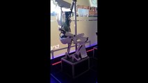 Pole Dancing Robot