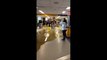 Brown water pours from the ceiling of LaGuardia airport