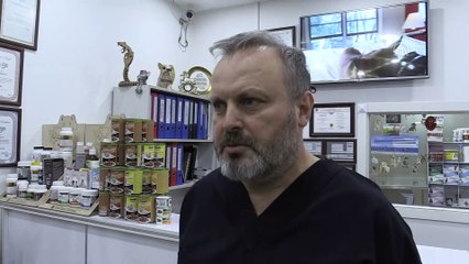 Yaralı şahinler ve balıkçı kuşu tedavi altına alındı - ZONGULDAK