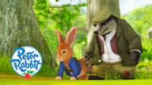 Watch Peter Rabbit Full Movie Streaming (HD) Video Quality