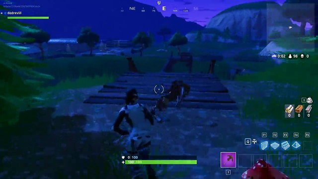 Fortnite #0554: I don't ever win.