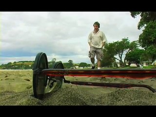 Spectacles on the Beach