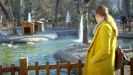 Beni Affet 1306. Bölüm Tek Parça