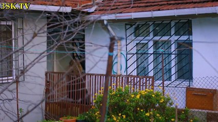 مسلسل عدو في بيتي الحلقة 1 القسم 2 مترجم للعربية