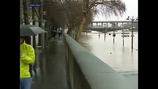 Ratones invaden París tras fuertes lluvias y desborde del río Sena