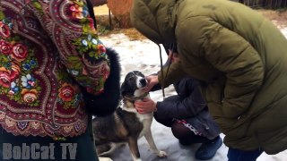 НОВЫЙ ПИТОМЕЦ. Взяли собаку из приюта