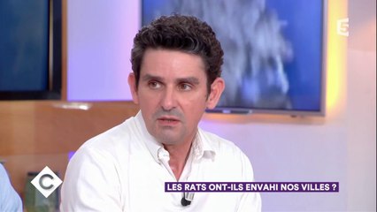 Les rats ont-ils envahi nos villes ? - C à Vous - 26/01/2018