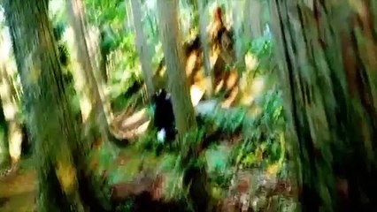 キャンプ 2 ロマンス映画