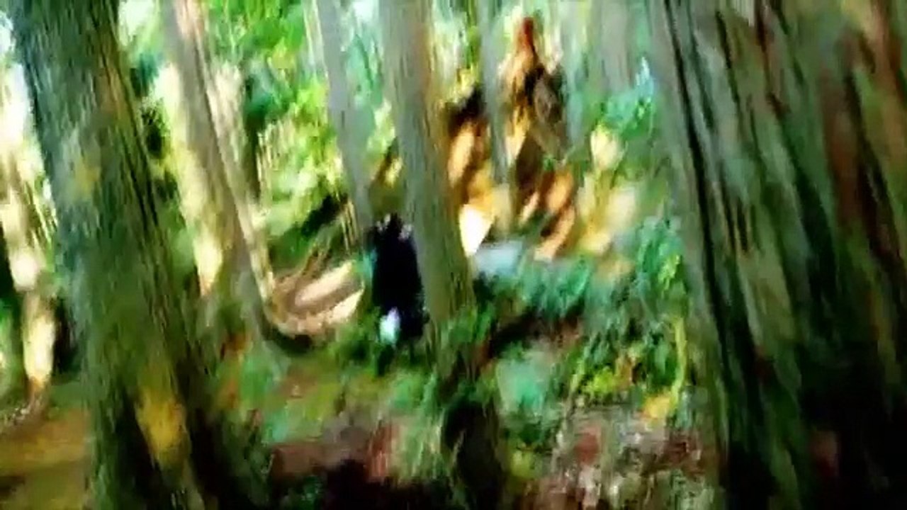 キャンプ 2 ロマンス映画