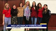 Pro-Life Display at Virginia College Destroyed Hours After It Was Set Up