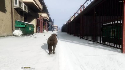 GTA 5 Roleplay | DOJ #182 - (CIV) Don't Git Bit