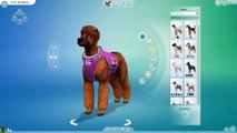What If The Fox & The Hound Had Puppies?!  Sims 4: Cats & Dogs