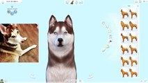 MAKING MY REAL PET // The Sims 4: Cats & Dogs