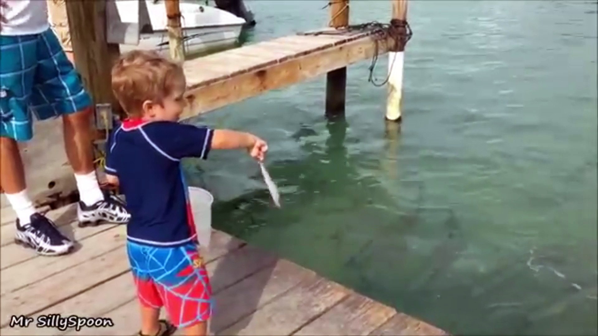 ⁣Thieving Animals  Animals Stealing things!  Crafty, Funny Pets and Animals Caught Stealing!