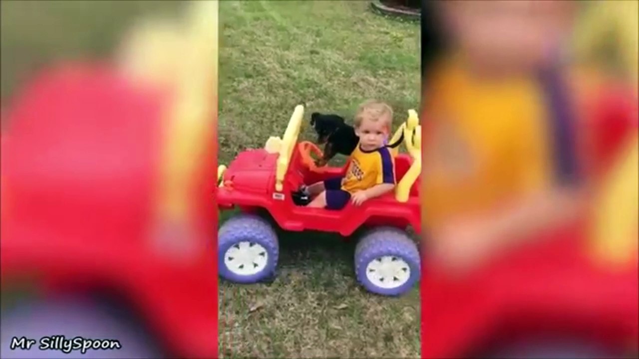 PETS with SKILLS COOL TRICKS - Clever Pets/Animals