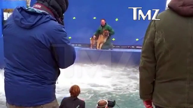 A DOG'S PURPOSE' TERRIFIED GERMAN SHEPHERD FORCED INTO TURBULENT WATER | TMZ