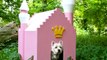 20 Most Luxurious Dog Houses