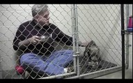 Enters the cage and dining to help the terrified dog