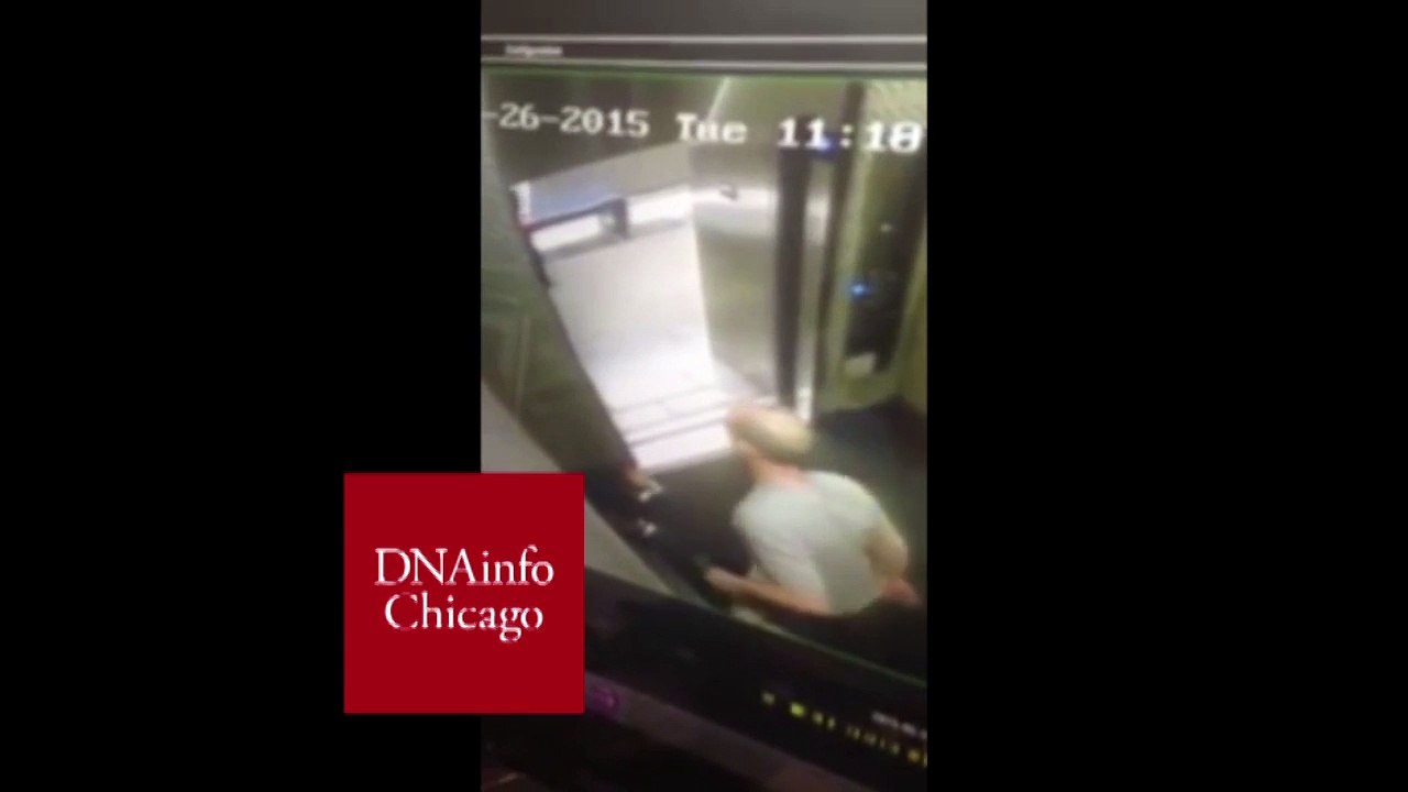 Man Kicks and Stomps on Dog in West Loop Elevator