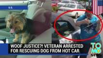 Dog rescue: Veteran breaks car window to save dog from hot Mustang and gets arrested - TomoNews