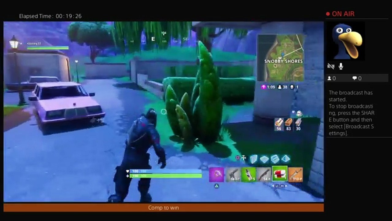 Fortnight (22)