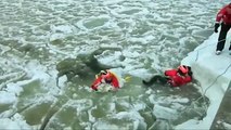 Coast Guard rescues dog from icy Frankfort Bay, Michigan