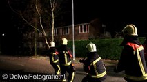 25-11-2012 Hond schiet brandweer Harderwijk te hulp bij stormschade