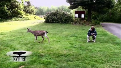 NATURE | Animal Odd Couples | Kate and Pip | PBS