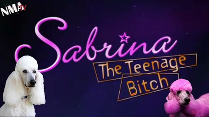 DogTV cable channel provides relaxation, stimulation for dogs