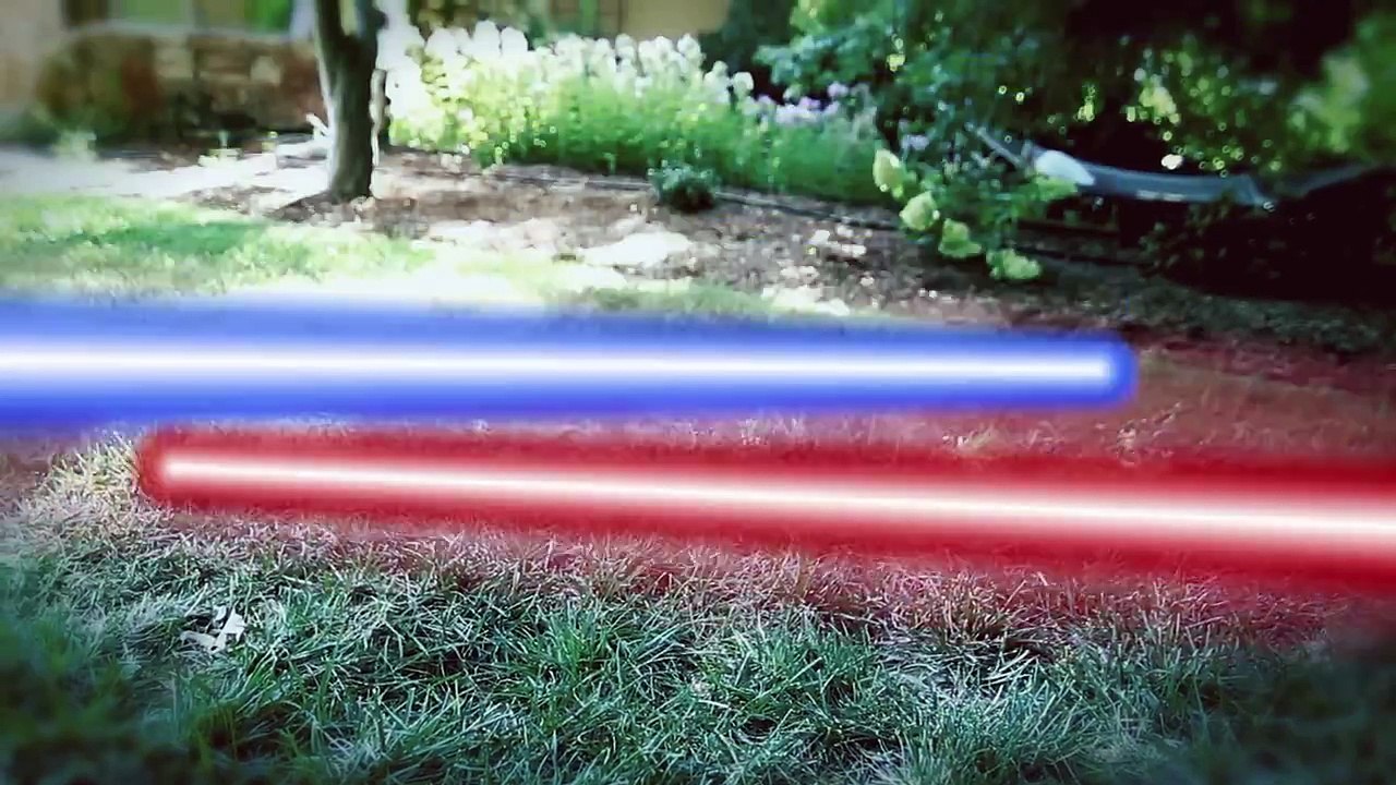 JEDI DOGS