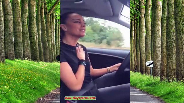 Ben yarali bir ceylanım