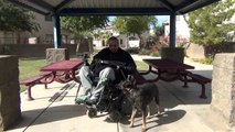 belgian malinois - dog training in Phoenix Arizona - zute 3