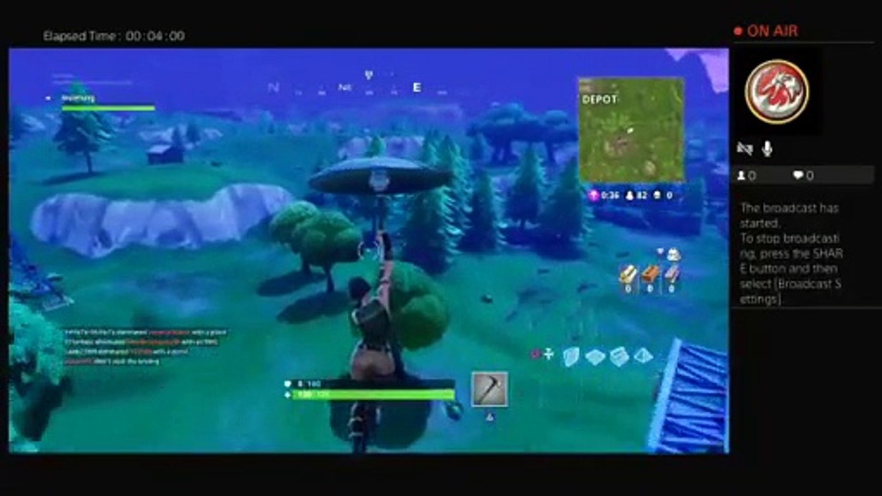 Fortnite (2)