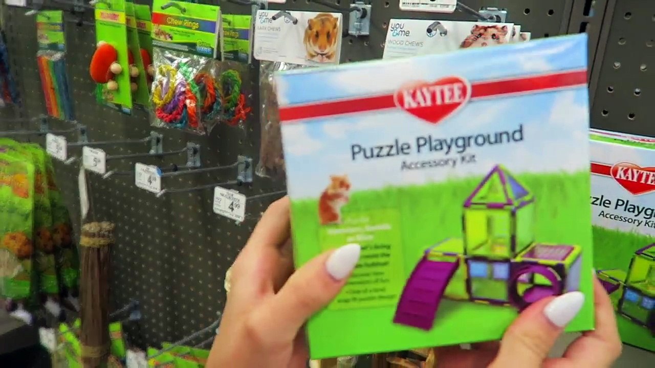 Getting 3 Hamsters! Shopping at Petco and PetSmart for Hamster Gear!