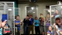 Volunteers Sit In Empty Cages To Celebrate Record-Breaking 800 Pets Adopted