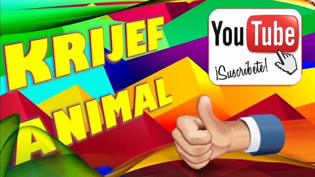 Pelea de perros Mastin Napolitano Mascota o Asesino