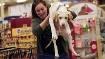 Alyssa and Lincoln Animal Adoption Story for PetSmart Charities® | Pet Rescue