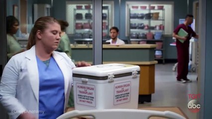 Grey’s Anatomy B-Team - Episódio 05 (LEGENDADO pt-br)