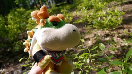 Epic Mario Bros.- The Movie Remastered (Part 1/4)