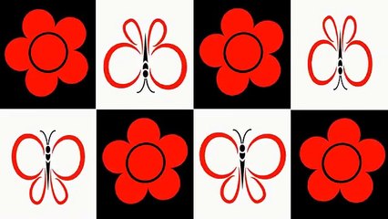 Baby Sensory - Black, White & Red - Flower & Butterfly (Infant visual stimulation)