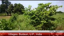 Tracing Indian Villages - Near Budaun, Uttar Pradesh, India