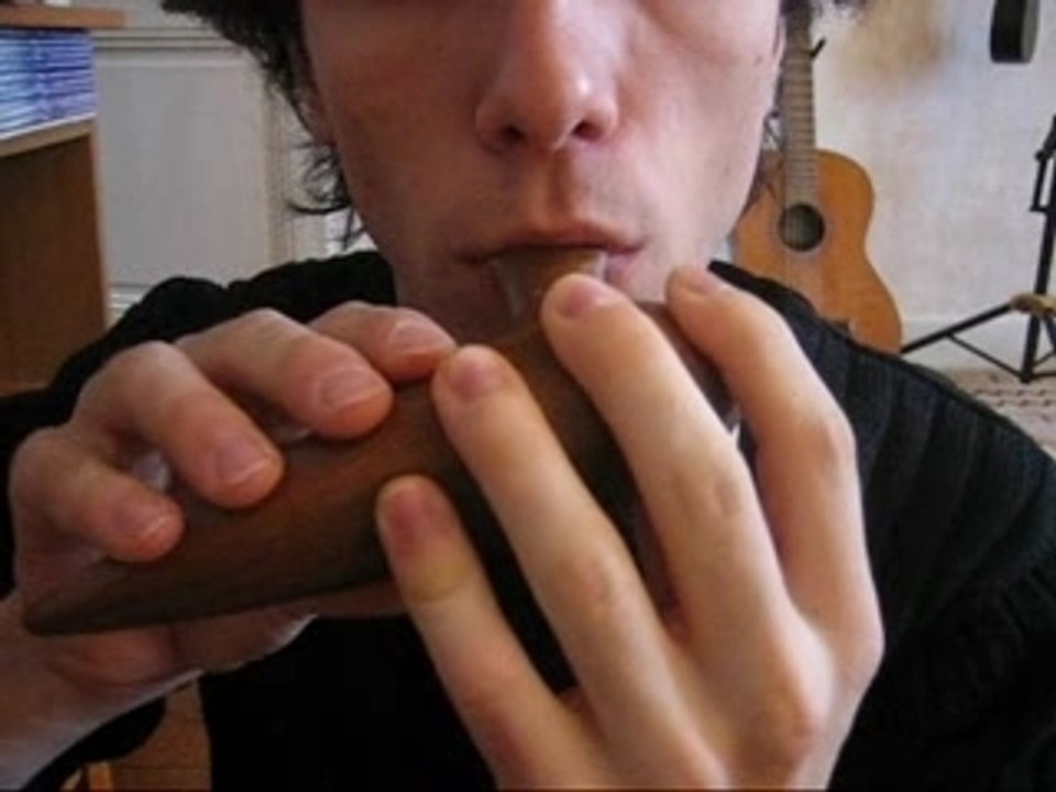 Berceuse de Zelda (Zelda Ocarina of Time) par Gyzm