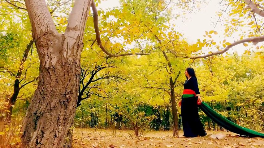 Afghan Song Full HD