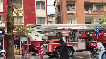 Ağaçtaki ipe dolanan güvercini itfaiye ekipleri kurtardı