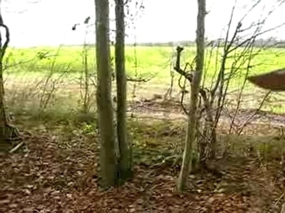 MVI_1637