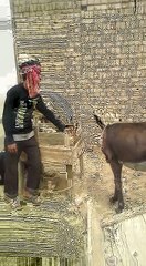 VID-20180118-WA0000