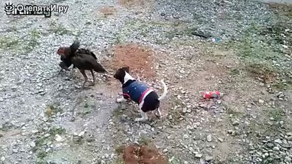 Когда ты - разнимающий