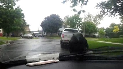 When The Crow Wants A Ride Desperately funny